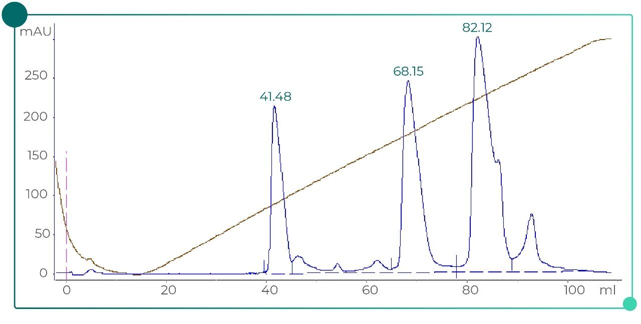 Strong and Weak Ion Exchange Resins-pic-01